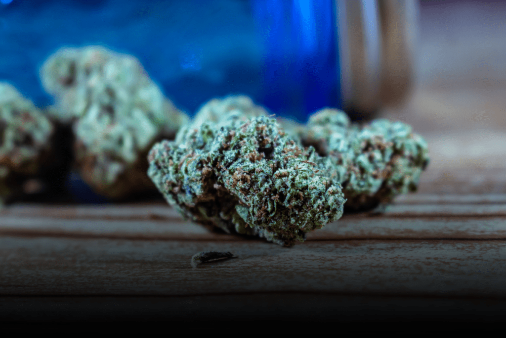 sanciones por posesión de marihuana Minnesota