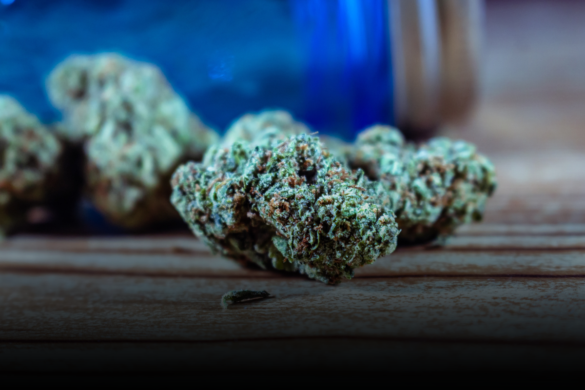 ¿Cuáles son las Sanciones por Poseer Marihuana en Minnesota Tras los Cambios en la Legalización?