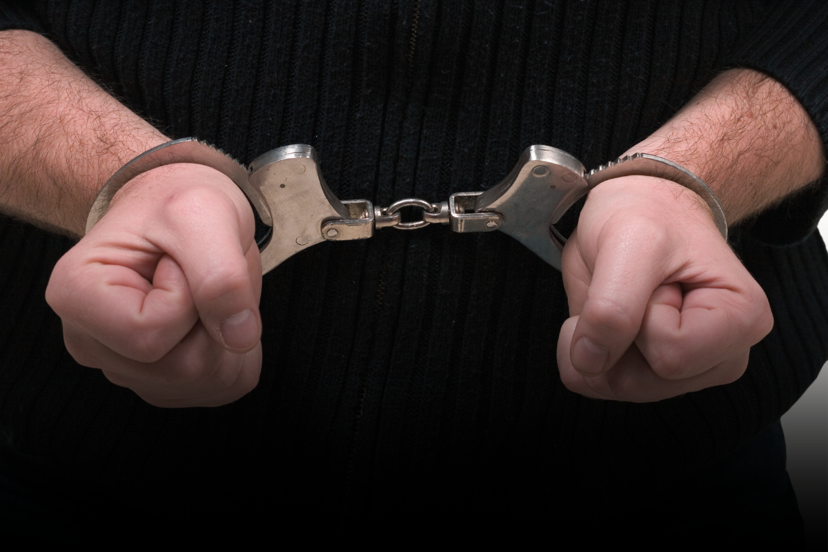 ¿Cómo afecta una condena por felonía a las licencias profesionales en Minnesota?