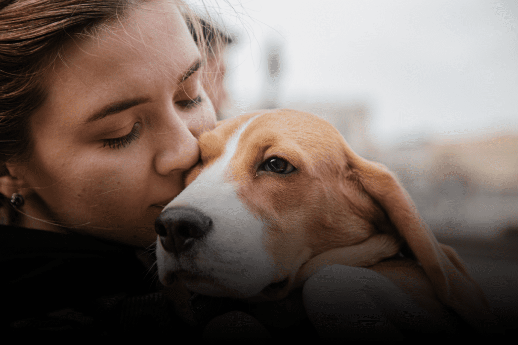 mascotas en divorcio Carolina del Norte
