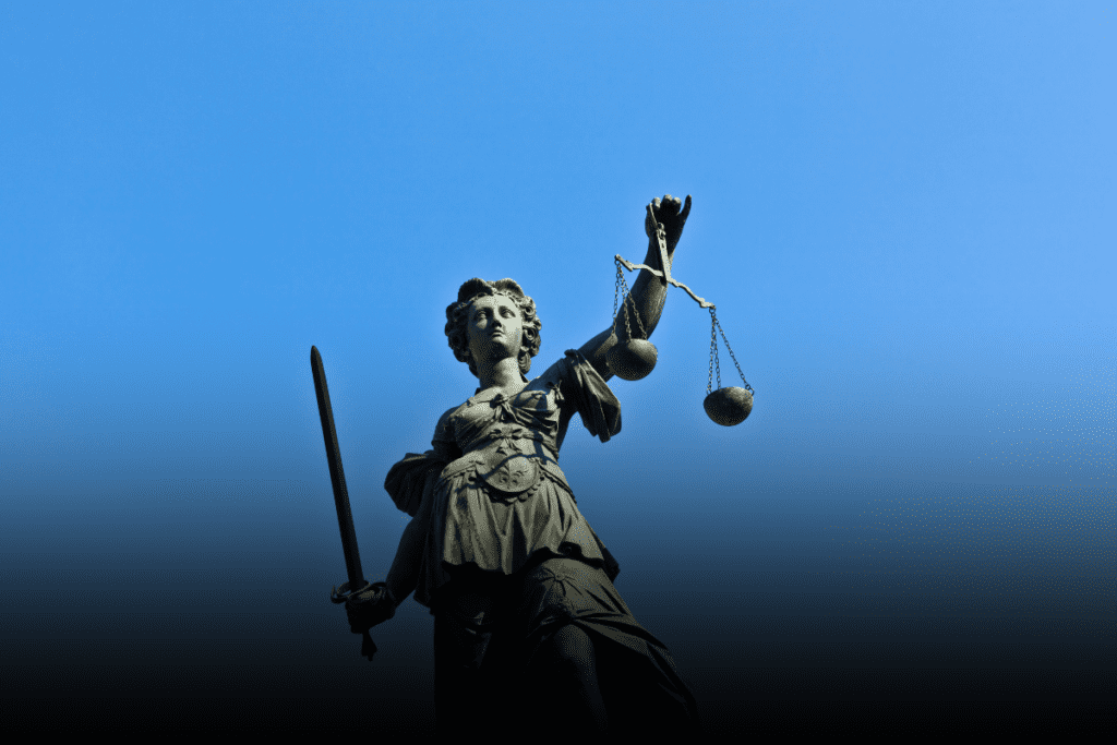 falsas acusaciones en casos de delitos sexuales