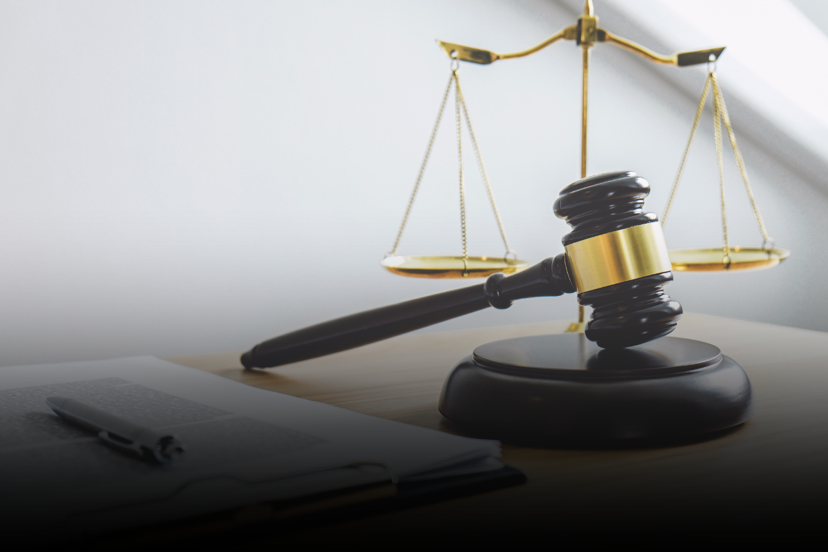 Conceptos Básicos sobre la Conducta Sexual Criminal en Minnesota