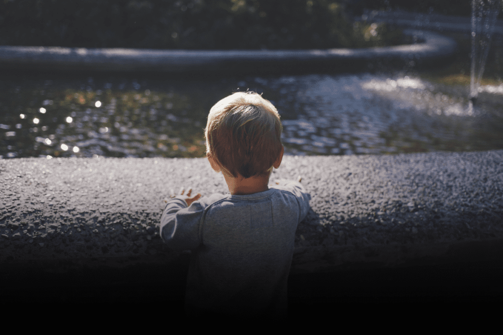 cumplimiento de órdenes